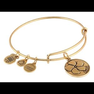 Alex and Ani Friend Bangle